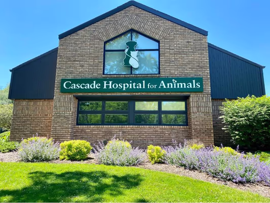 Cascade Hospital for Animals Dog Park photo 1